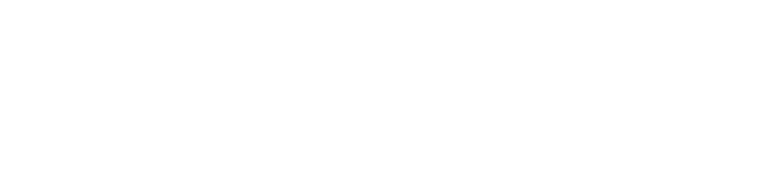 菩澜渡 WisFerry Logo