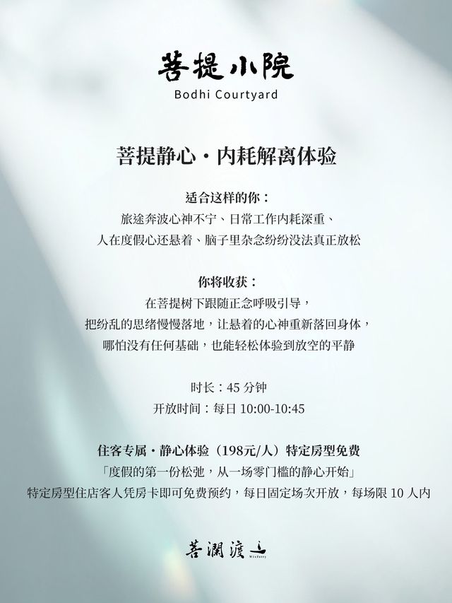 菩提静心·内耗解离体验